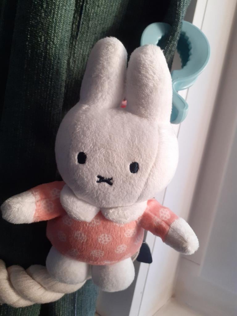 Nijntje van Dick Bruna, Nijntje, Ophalen of Verzenden