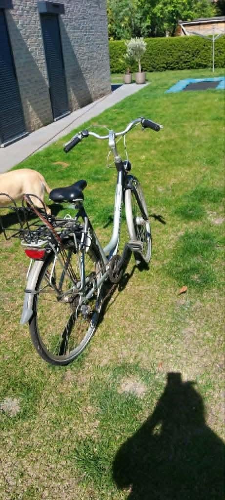 Damesfiets, Fietsen en Brommers, Fietsen | Dames | Damesfietsen, Ophalen, Velgrem, Versnellingen, 56 cm of meer