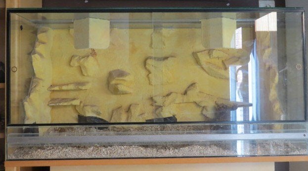 gebruikt terrarium, Enlèvement, Utilisé, Terrarium ou Paludarium