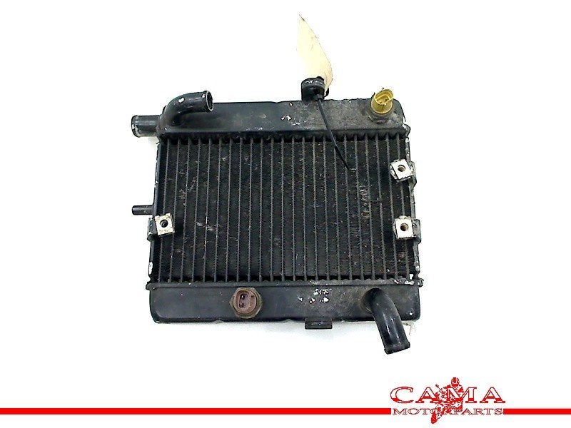 RADIATEUR YP 250 MAJESTY 2001-2006 (YP250 5GM) (71219TOYO), Dhr. S. di Majo, Gebruikt, Info@cama-motorparts.nl, P.J. Troelstraweg 8 8
3144 CX  MAASSLUIS, NL