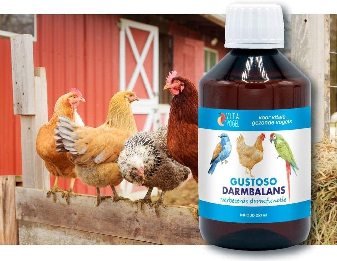Gustoso Intestinal Balance Vita Bird 250 ml, Animaux & Accessoires, Enlèvement, Volaille