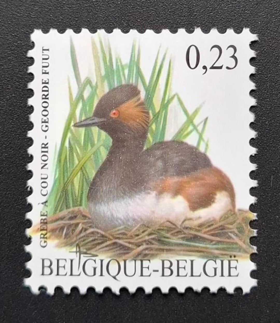 België: OBP 3546 ** Vogels 2006., Frankeerzegel, Ophalen of Verzenden, Zonder stempel, Postfris