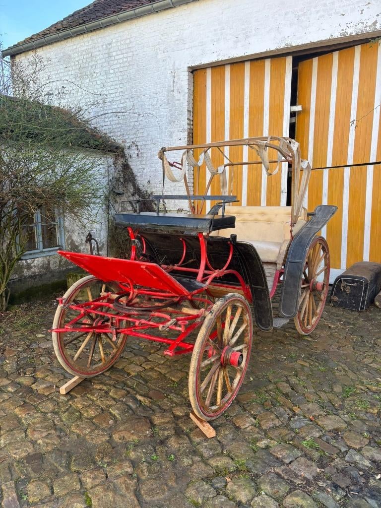 Caleche, Utilisé, Autres types, Cheval