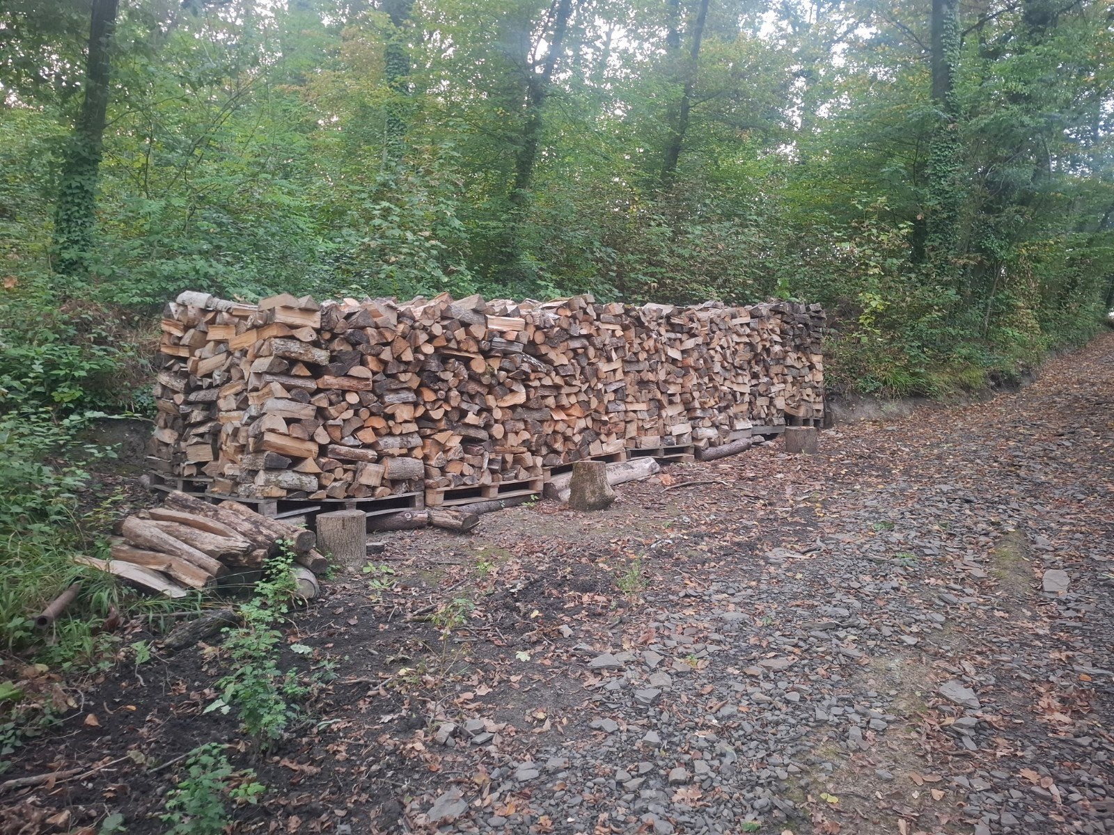 Bois de chauffage a venir chercher sur flemalle