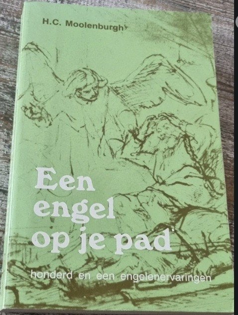 Een engel op je pad, H.C. Moolenburgh, Boeken, Esoterie en Spiritualiteit, Verzenden, Zo goed als nieuw