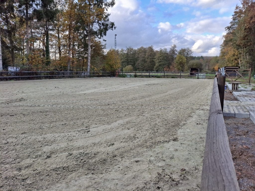 Piste te huur, Accessoires, 4 paarden of pony's of meer