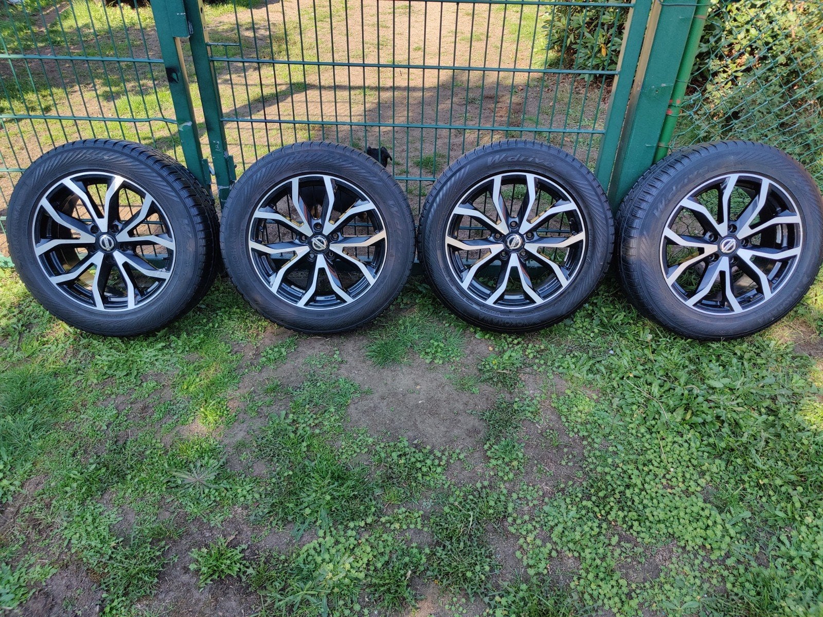 Jantes Nissan 215 60 17, Auto-onderdelen, Ophalen of Verzenden, Winterbanden, Velg(en)