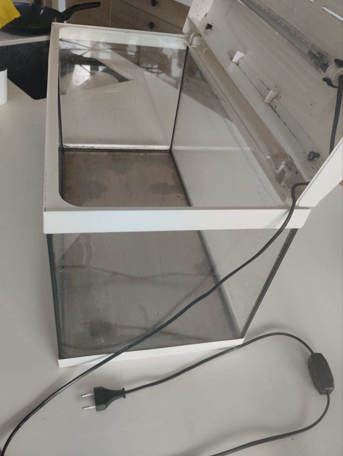 Aquarium, Enlèvement