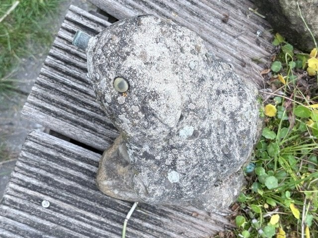 Kikker vijverspuwer, Tuin en Terras, Ophalen, Gebruikt, Vijverrand