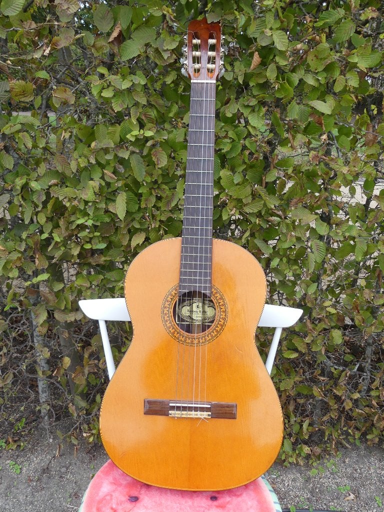 Guitare acoustique (classique/espagnole), Enlèvement, Utilisé, Guitare classique ou espagnole, Avec valise