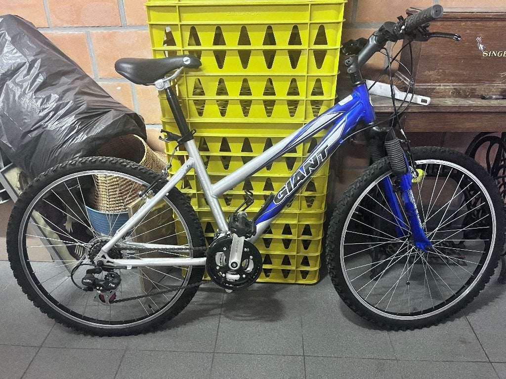 Fiets, Fietsen en Brommers, Ophalen, Gebruikt, Giant