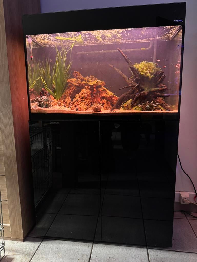Ingericht aquarium, Ophalen, Zo goed als nieuw