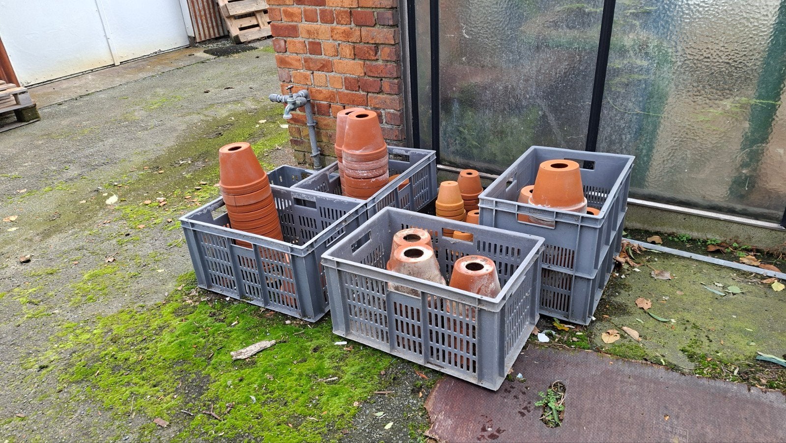 teracota bloempotten Nieuw staat, Enlèvement, Terracotta