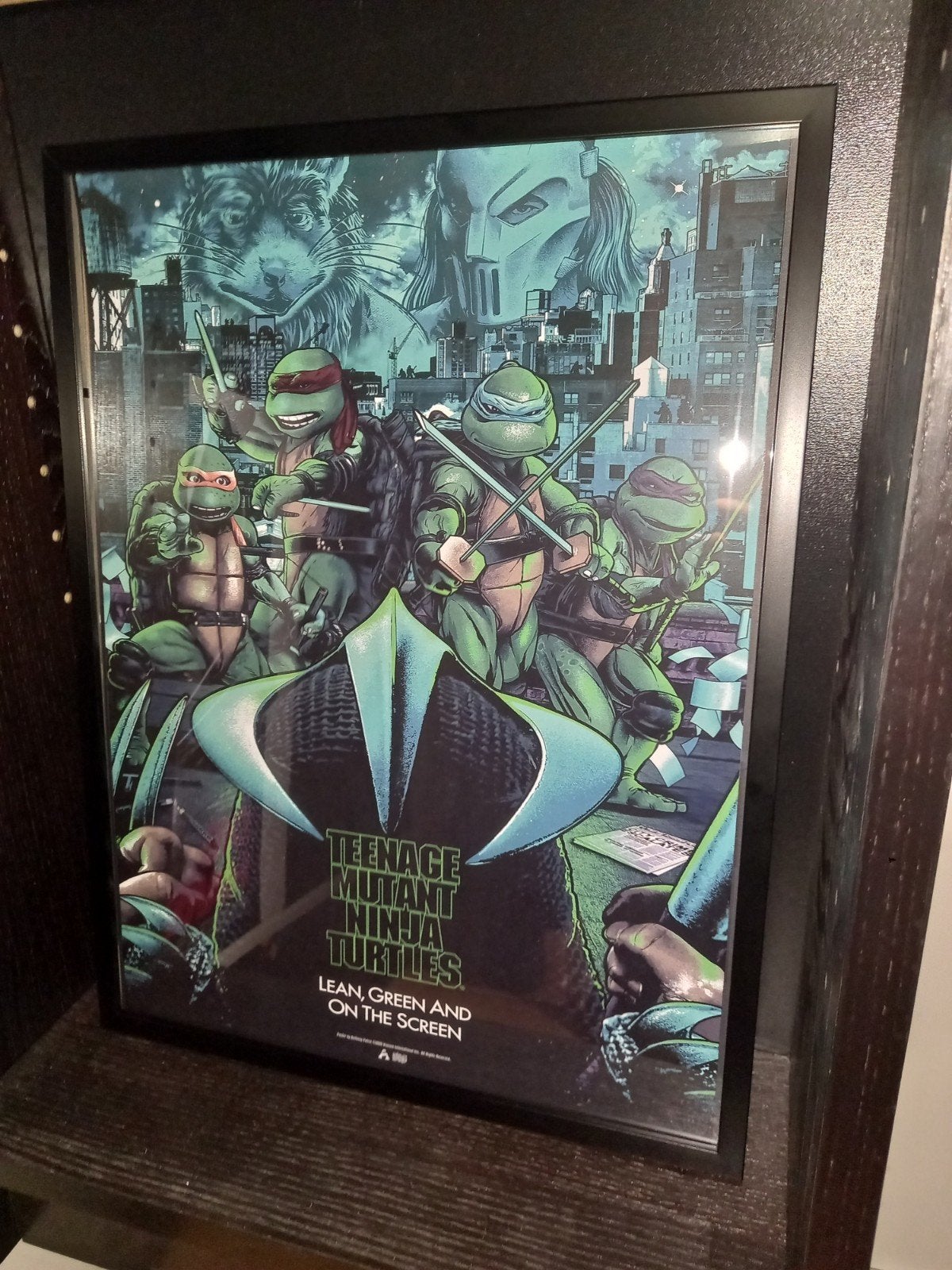 teenage mutant ninja turtles, Ophalen of Verzenden