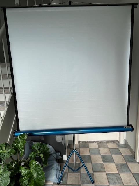 Diaprojector met projectiescherm en -tafel en diasnijder, Ophalen, Zo goed als nieuw, Met scherm