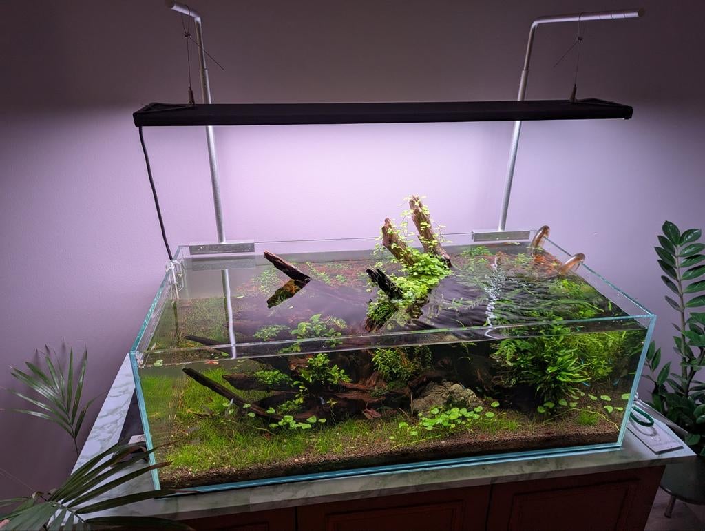 Volledige aquascape aquarium set