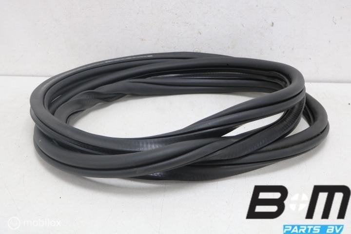 Portierrubber rechtsvoor VW Golf 8R 5H4867912, Gebruikt