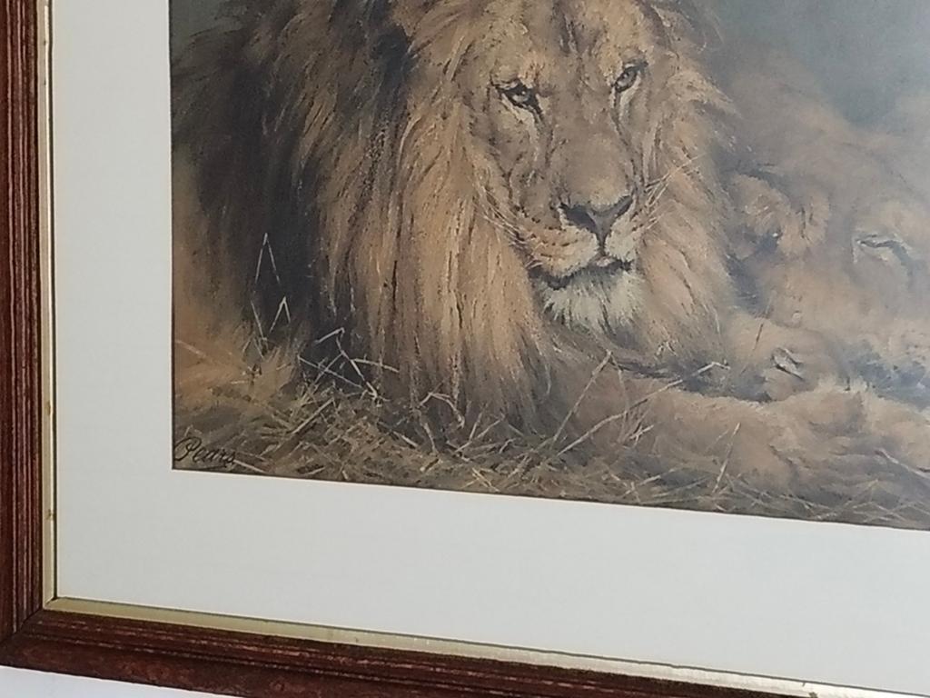 Poires au lion et à la lionne britanniques., Enlèvement
