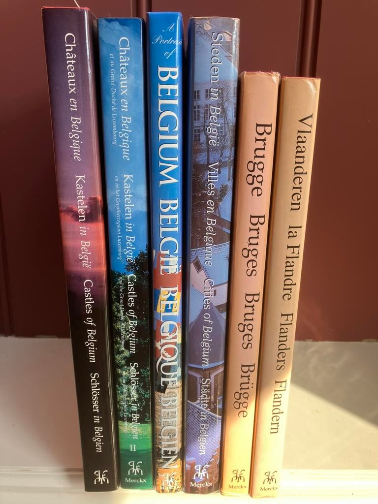 6 Beaux Livres sur la Belgique (Villes, Châteaux ), Livres, Enlèvement, Comme neuf