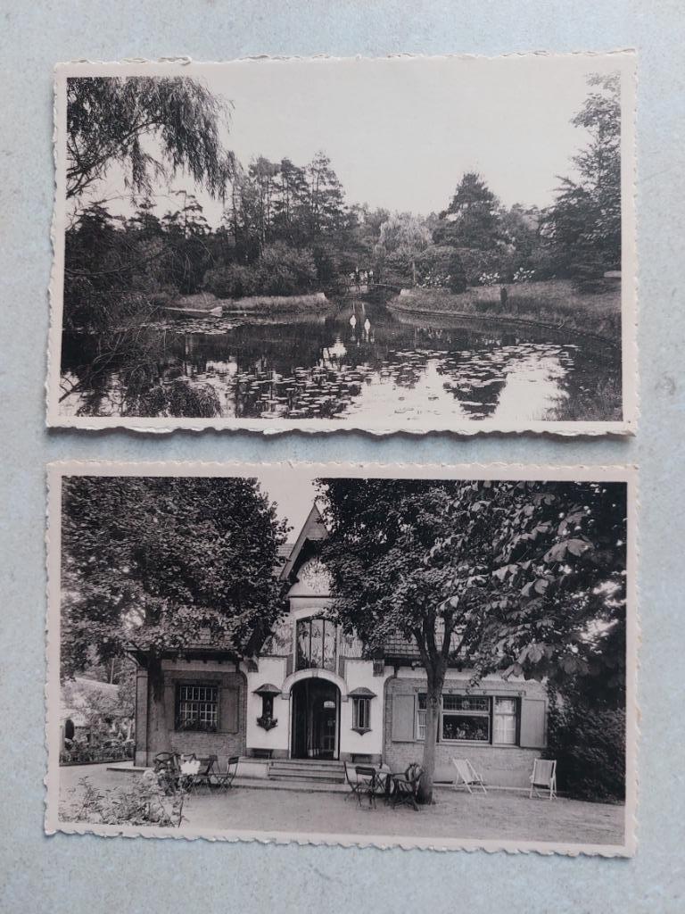 2 oude postkaarten van Kapellenbos, Ophalen of Verzenden