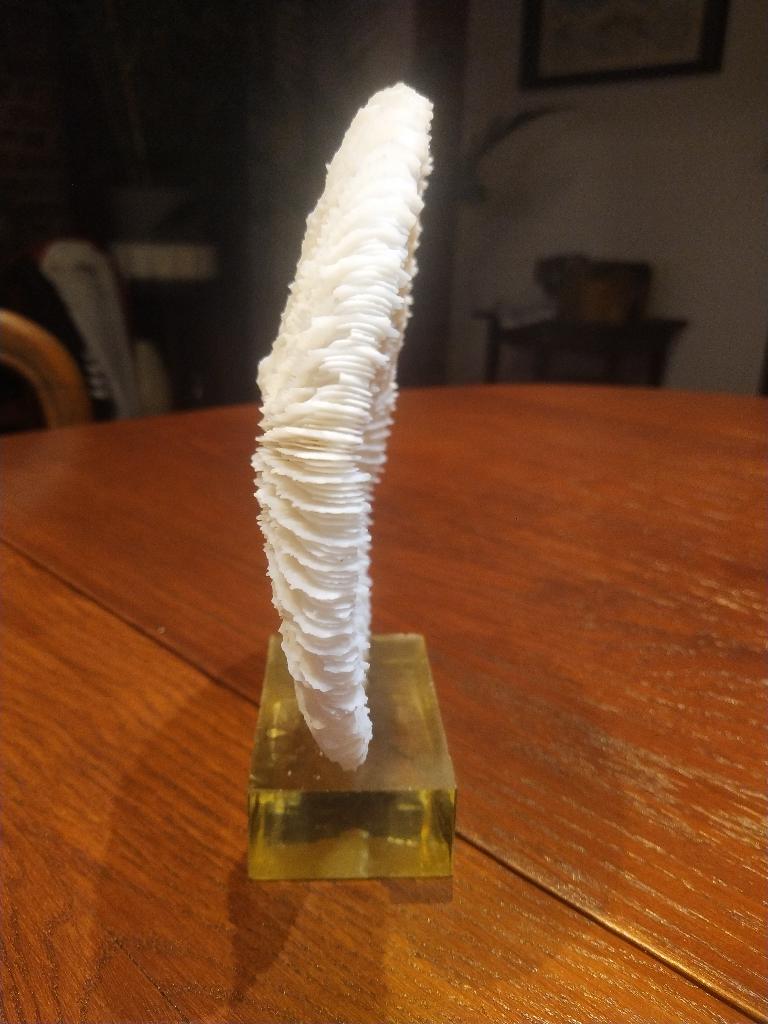corail, Enlèvement ou Envoi, Minéral