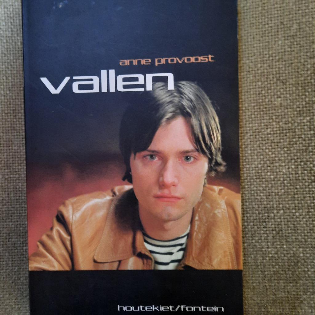VALLEN - ANNE PROVOOST - young adult, Ophalen of Verzenden