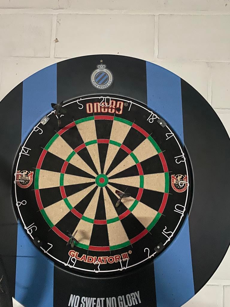 Dartsblok + beschermring, Sport en Fitness, Darts, Ophalen