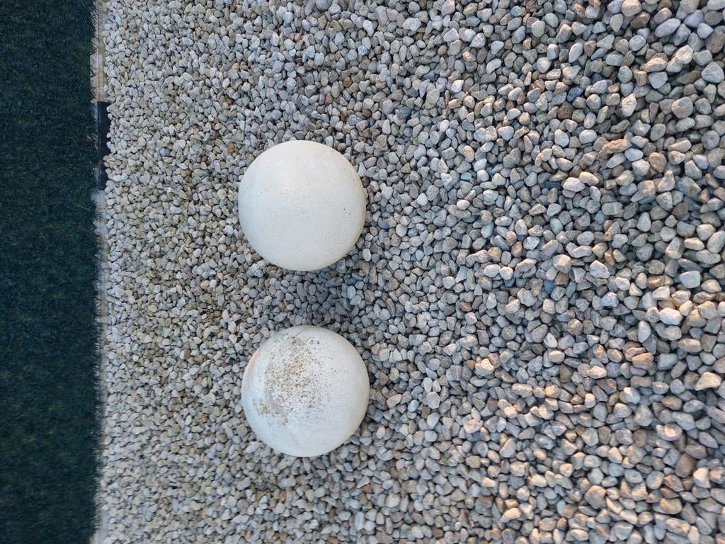 2 bollen, Tuin en Terras, Ophalen