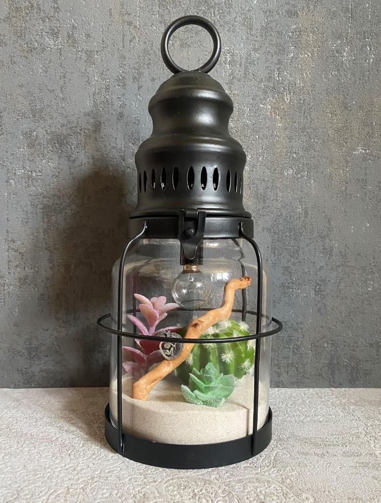 Gemummificeerde kameleon in lamp, Verzamelen, Ophalen