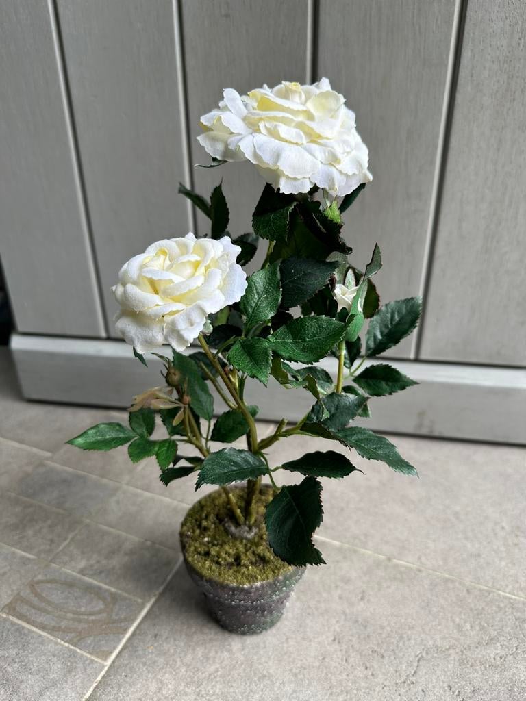 Kunstbloemen wit, Ophalen of Verzenden, Nieuw