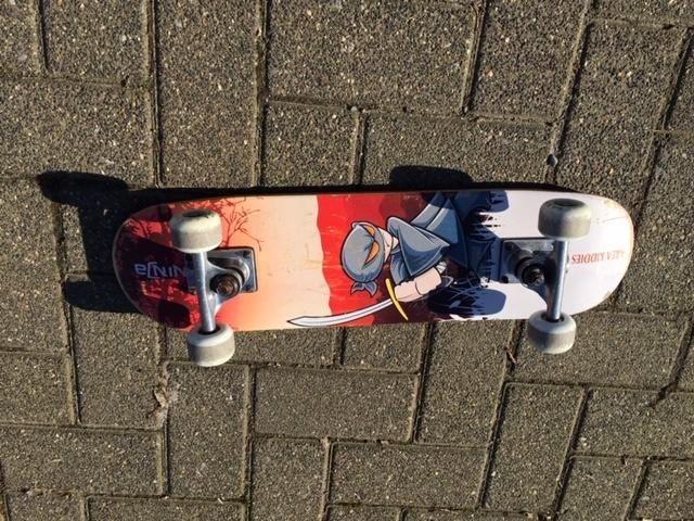 planche à roulettes, Enlèvement, Utilisé