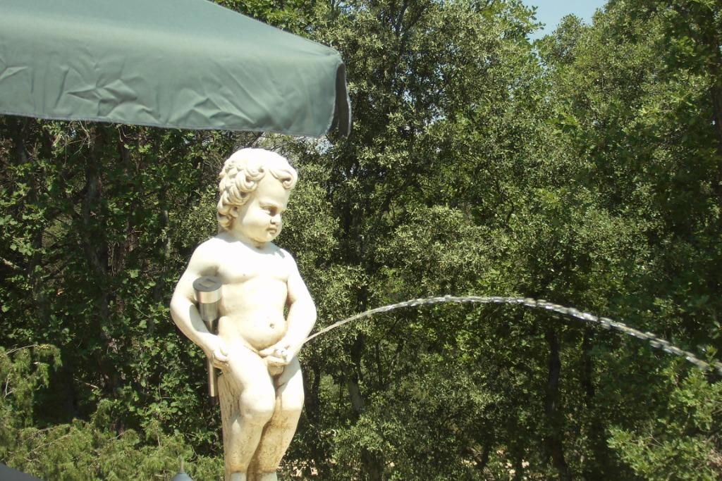 vakantiehuizen zuid frankrijk, In bos, 2 slaapkamers, Overige typen, Provence en Côte d'Azur