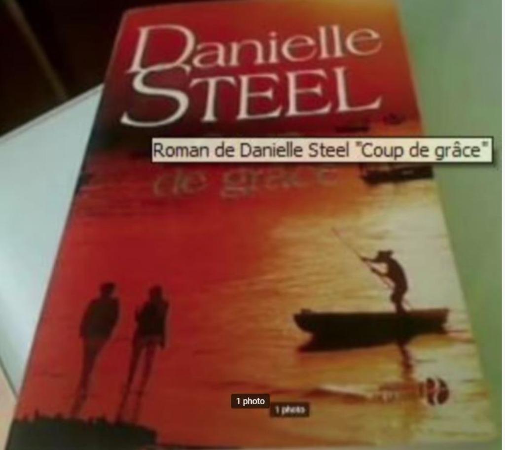Roman de Danielle Steel "Coup de grâce" Broché, Enlèvement ou Envoi, Comme neuf, Danielle Steel.