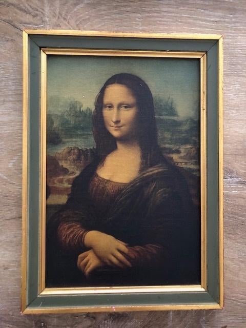 Prachtige Mona Lisa in kader, Ophalen