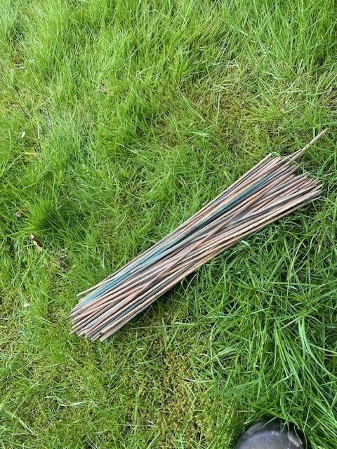 100 houten tuin stokken (voor planten,...), Tuin en Terras, Ophalen