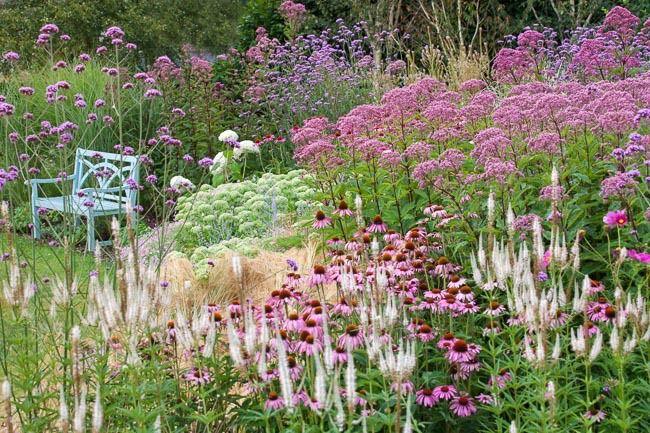Ontwerp prairie  (Beplantingsplan + plantgoed) thuis bezorgd, Ophalen