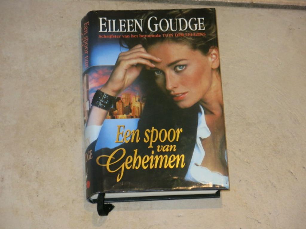 Boek Een spoor van Geheimen, Boeken, Romans, Zo goed als nieuw, Ophalen of Verzenden