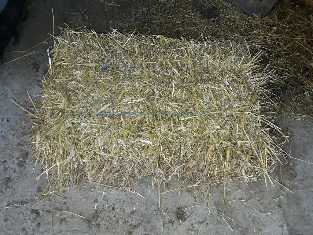 kleine balen stro, Zakelijke goederen, Landbouw | Veevoer, Ophalen