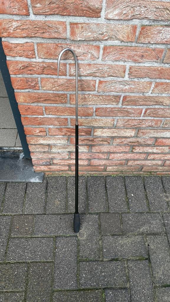 Pikhaak zeevissen, Ophalen of Verzenden, Gebruikt, Overige typen