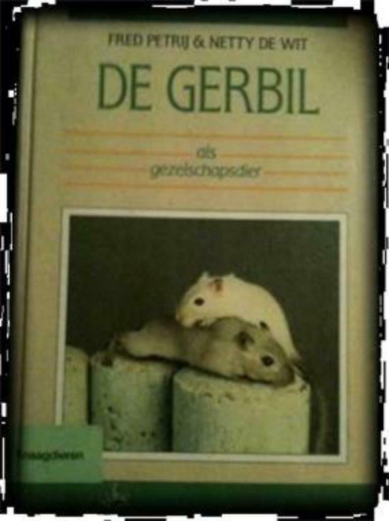 De gerbil, Fred Petrij & Netty De Wit, Enlèvement ou Envoi, Utilisé, Lapins ou Rongeurs