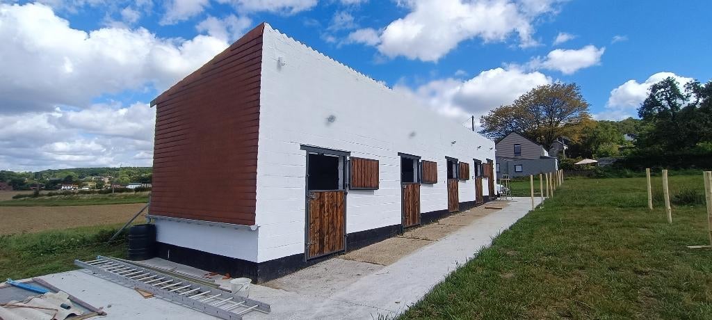 Antheit (Wanze) paardenbox te huur, Dieren en Toebehoren, Weidegang, 2 of 3 paarden of pony's