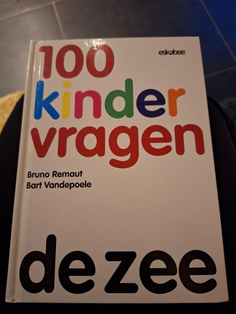 Bruno Remaut - De zee, Ophalen of Verzenden, Bruno Remaut; Bart Vandepoele