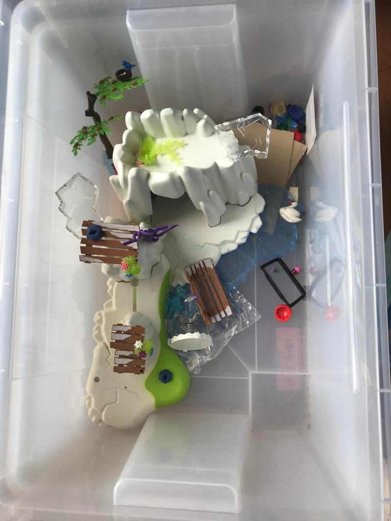 Ijspaleis playmobil, Enlèvement