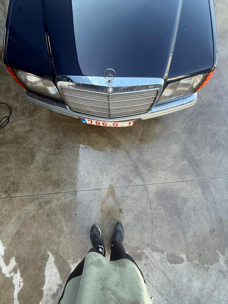 Mercedes 280 S, Auto-onderdelen, Ophalen