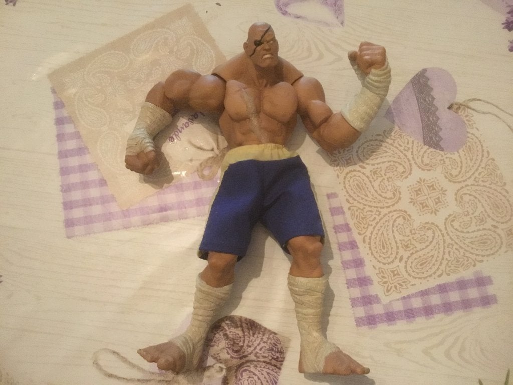 Sagat streetfighter, Ophalen