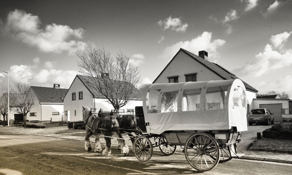 Huifkar  - Chariot bâché - Wagonette - Calèche, Gebruikt, Wagonette, Paard, Gesloten