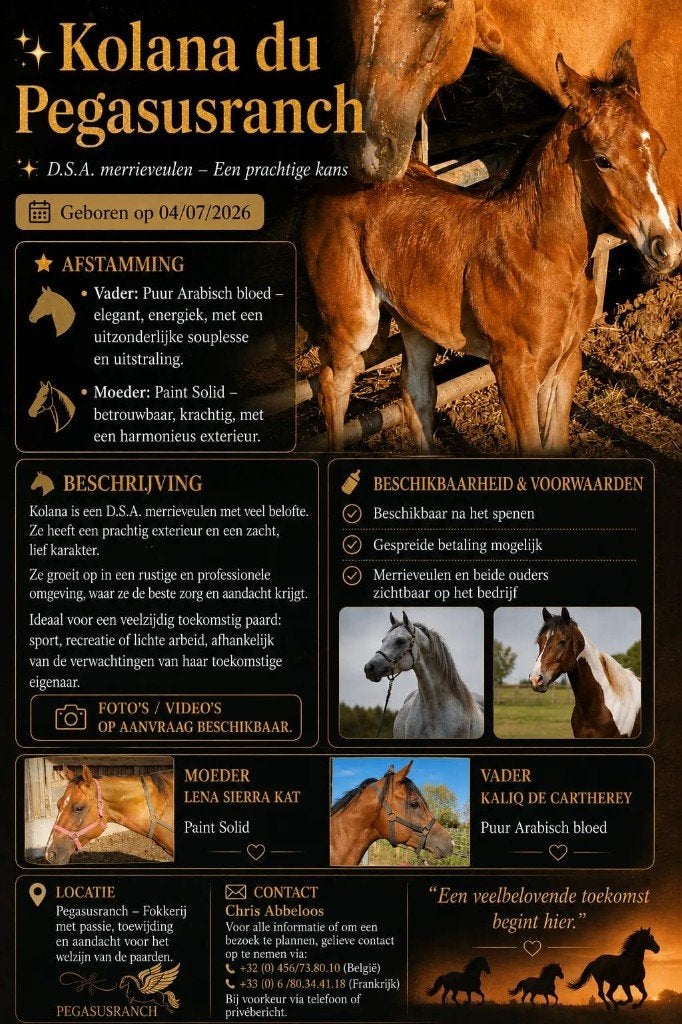 Merrie (veulen), Merrie, Met stamboom