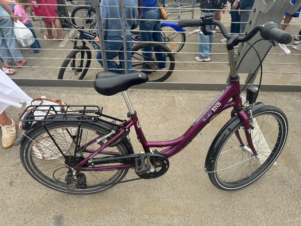 Fiets meisje  BNB Flowerkid 24’, Autres marques, Vitesses, Frein sur jante, Enlèvement