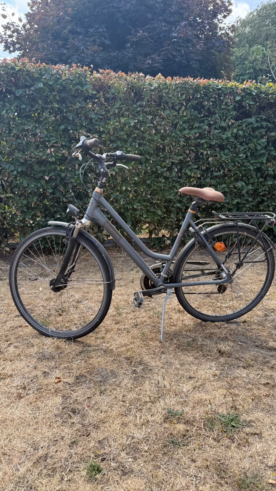 L'avenir Adventure Dames V21d, Fietsen en Brommers, Fietsen | Dames | Damesfietsen, Gebruikt, 47 tot 50 cm, Versnellingen, Schijfrem