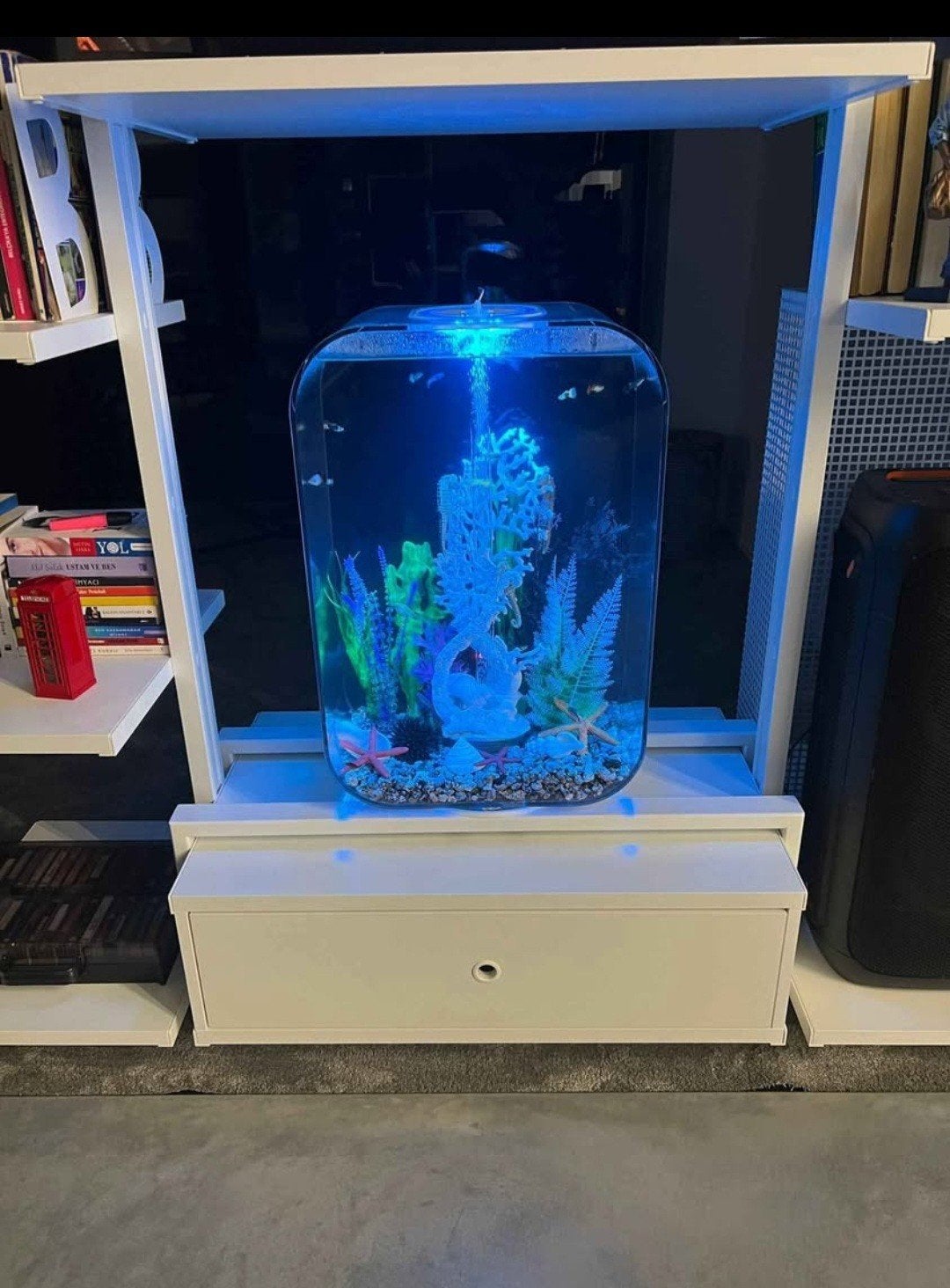 Aquarium Biorb 60 litres, Animaux & Accessoires, Enlèvement